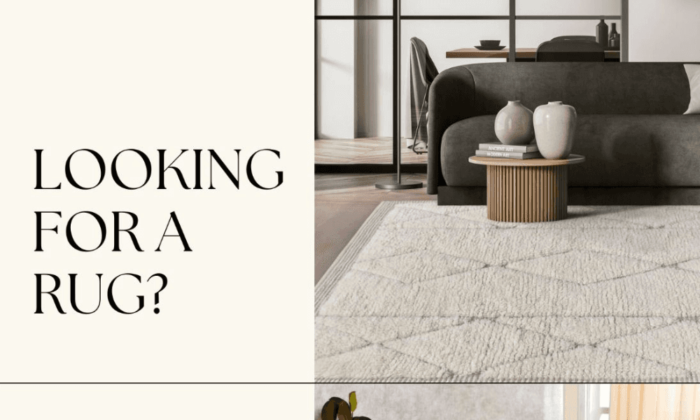 Rug Ecommerce Store for Sale