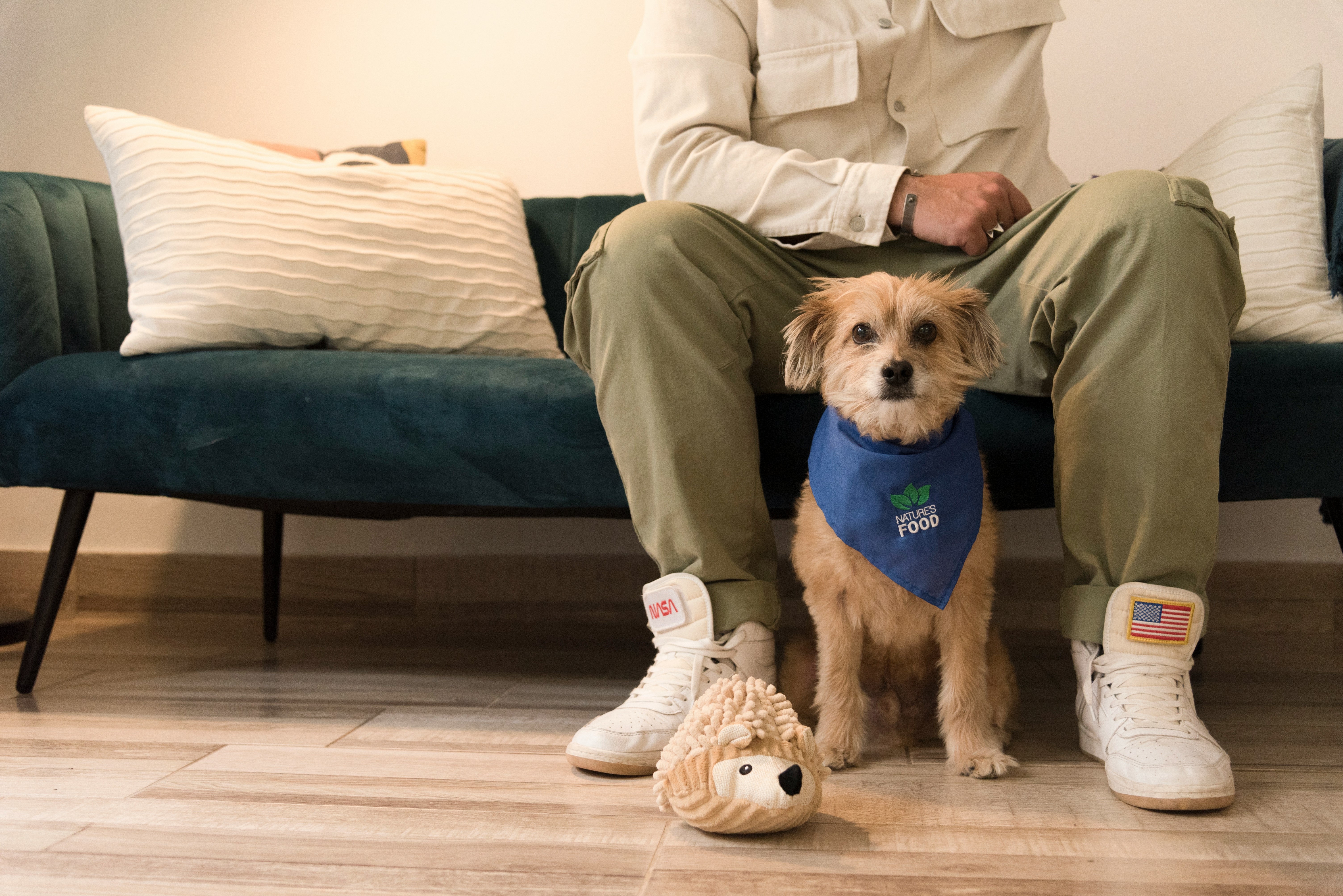 positive training solution for barking at visitors