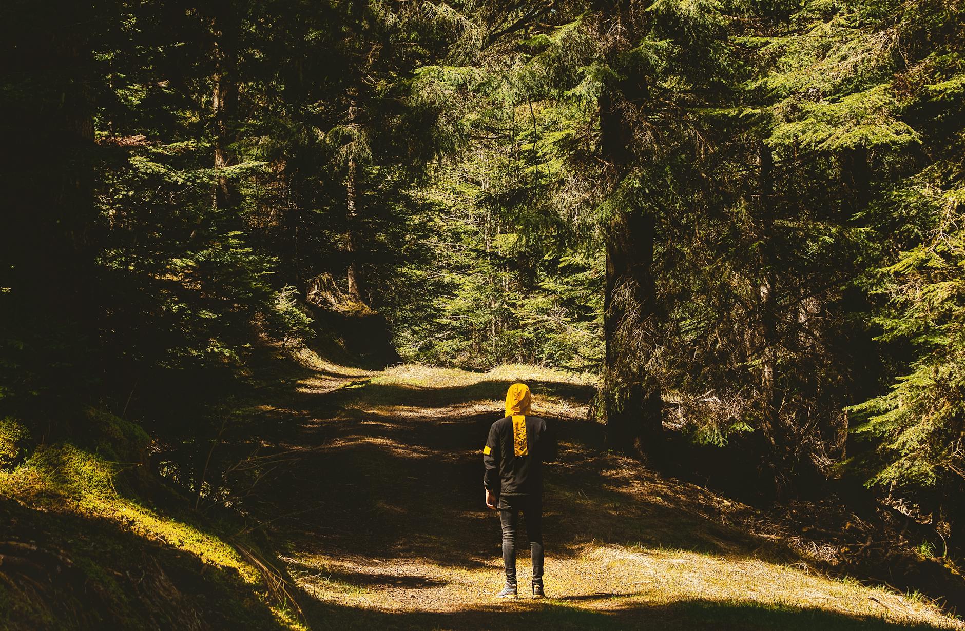 Students wearing backpacks hiking through a wooded trail as part of outdoor adventure pe lesson plans.