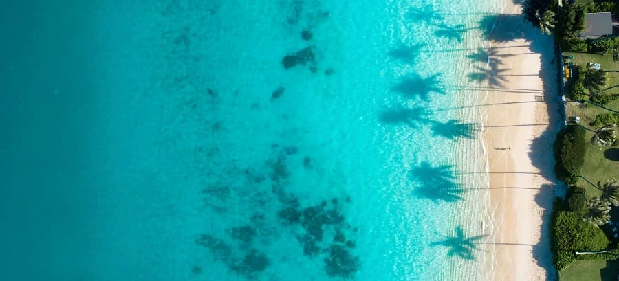 aerial view photography of boats on seashore