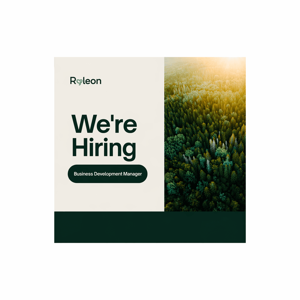 Ryleon hiring banner for Business Development Manager role, featuring bold “We’re Hiring” text, Ryleon logo, and a forest background symbolising sustainability and packaging solutions.