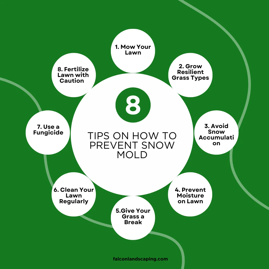 A circular flow chart listing tips on how to prevent snow mold