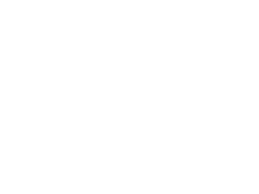 AARMY