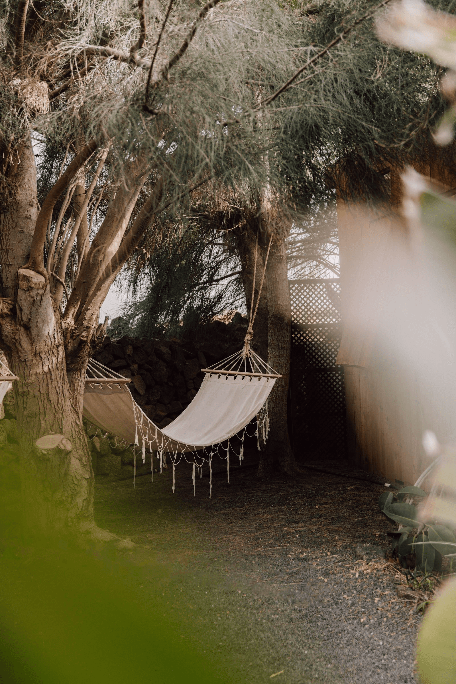 White hammock hanging between two trees.