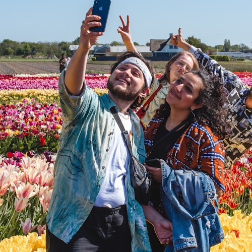 Tulip Experience Amsterdam