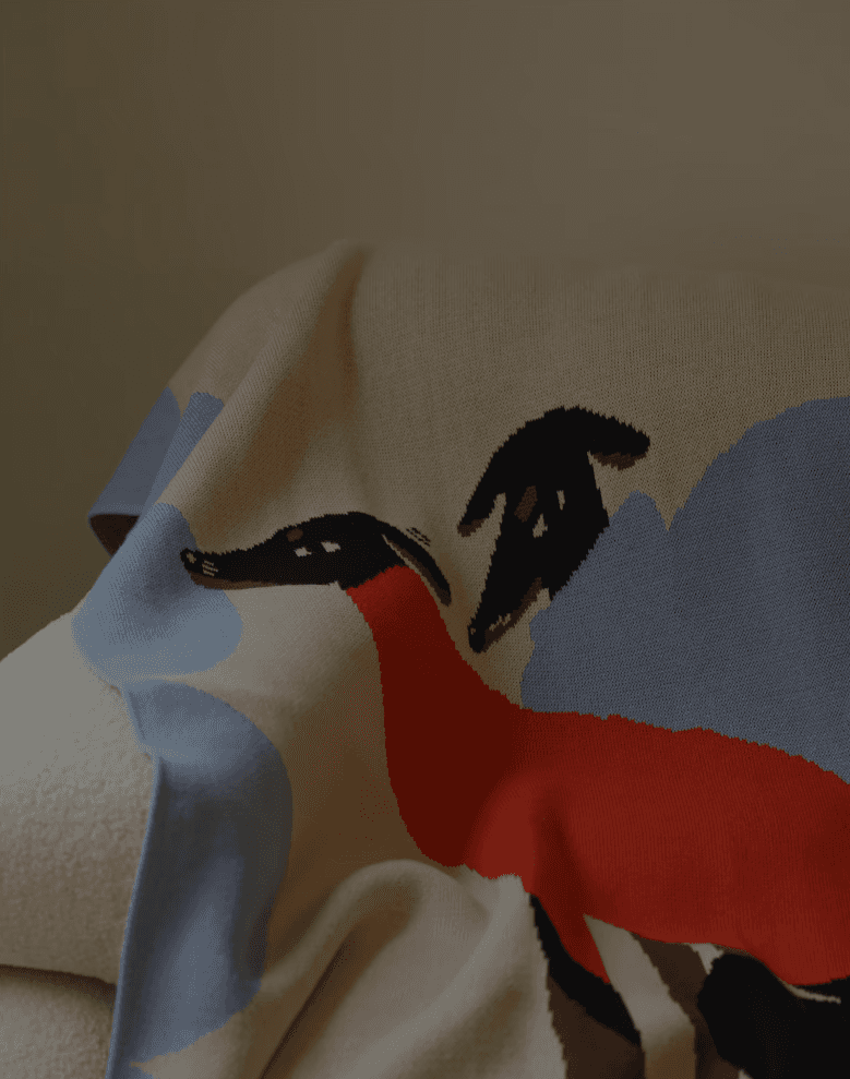 가을 거실 인테리어에 어울리는 포근한 니트 블랭킷