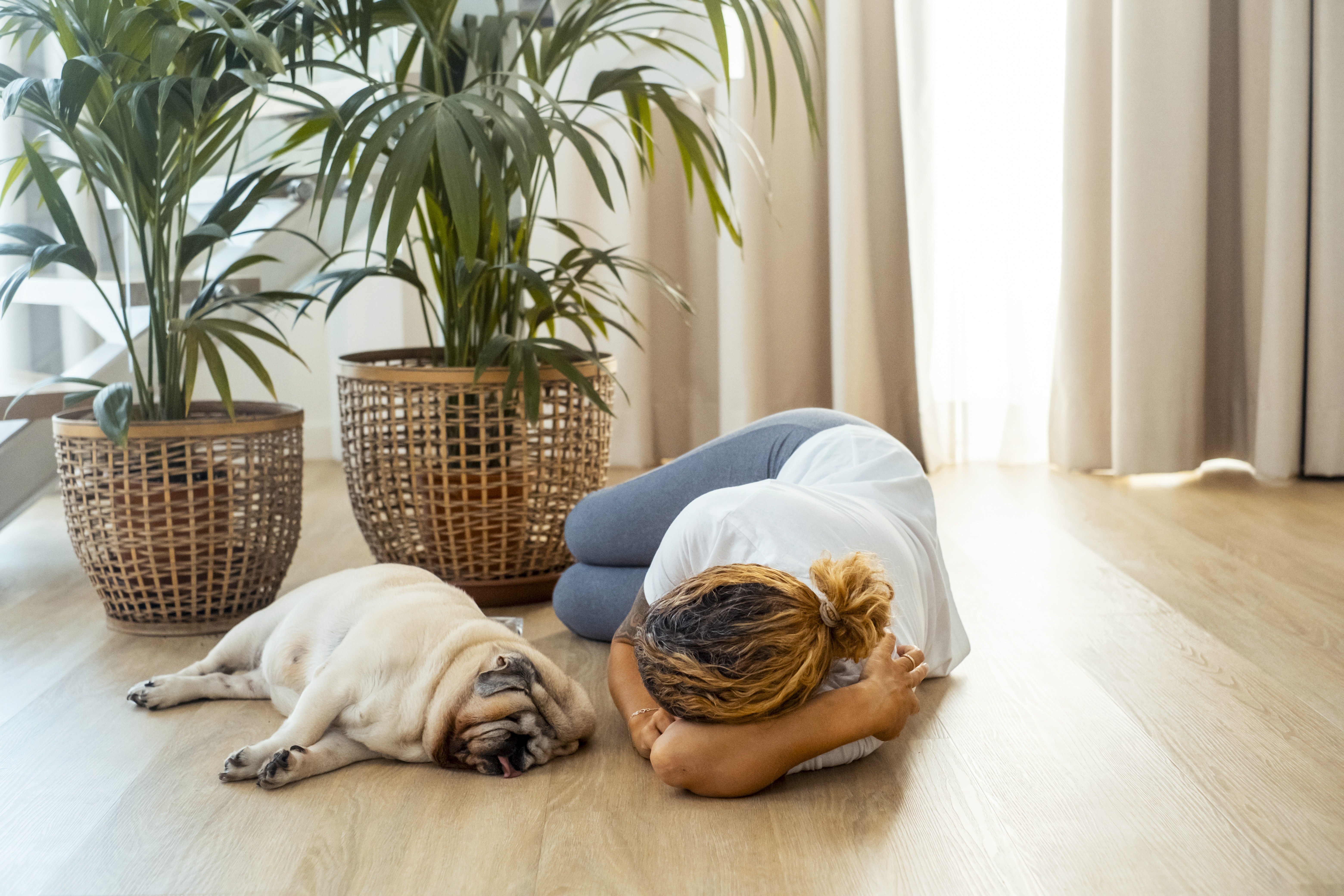 Relaxing at home with a dog on water-resistant hybrid flooring, a practical choice for Brisbane pet owners dealing with accidents, fur, and muddy paws.