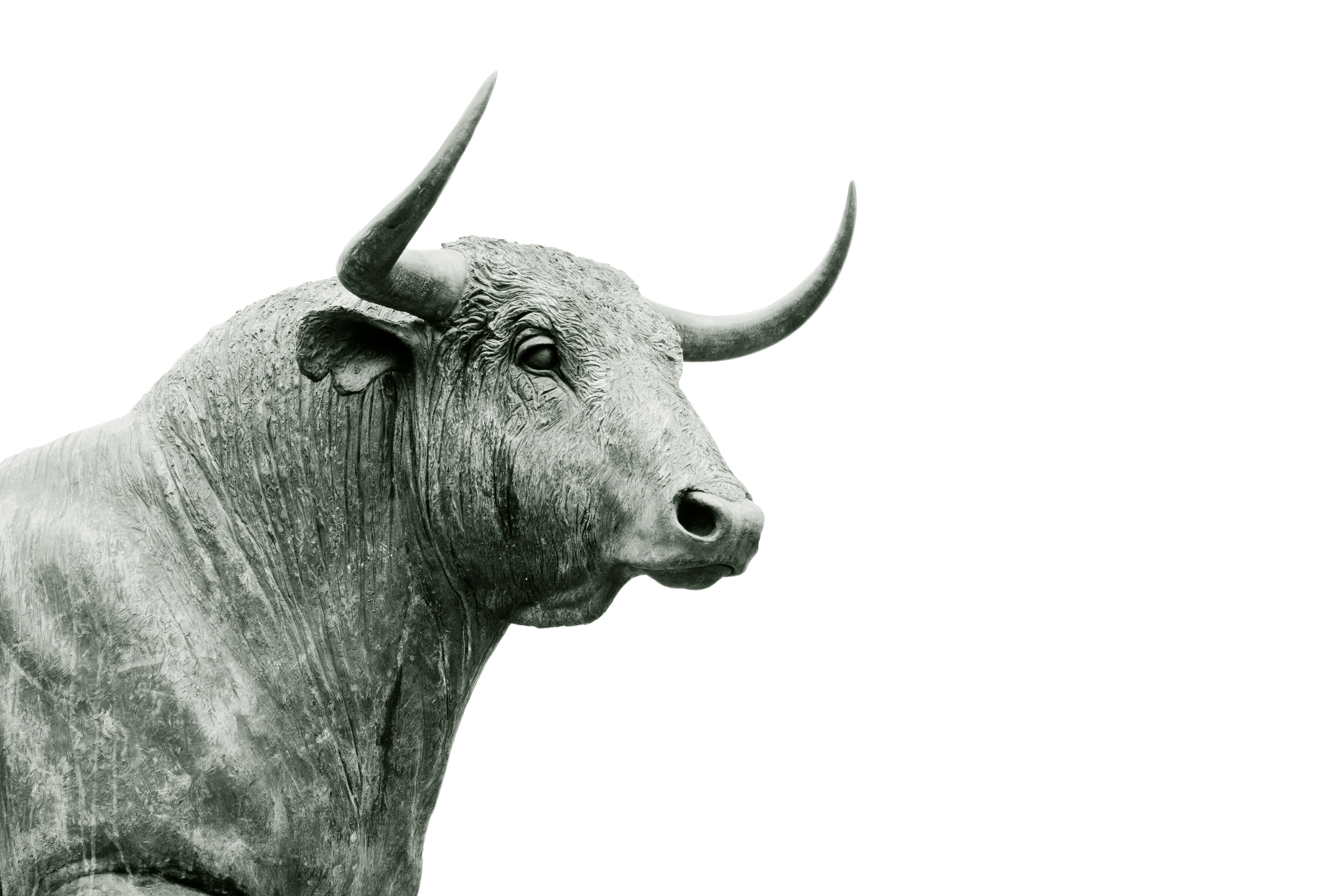Aave Acquires Stable Fiance, Fireblocks Acquires Dynamic. Photo By Hans Eiskonen On Unsplash.