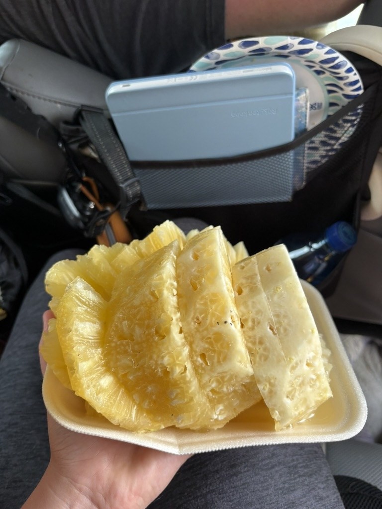 A tray of cut pineapple held in the car on the drive through Mexico.
