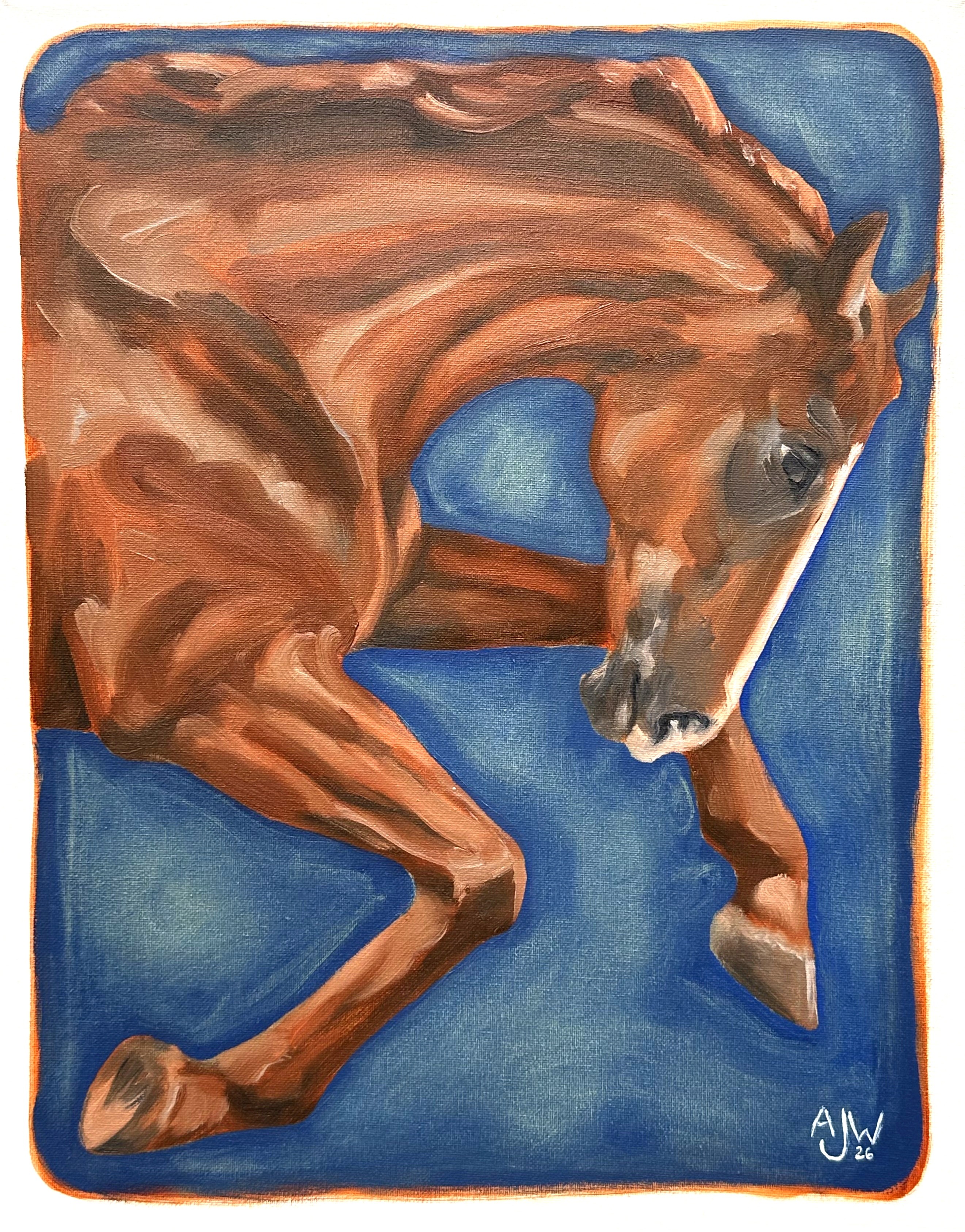 Two horses seen from the shoulders up, one blue and one brown, playfighting