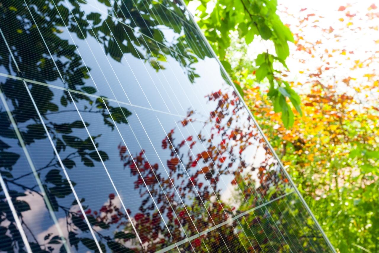 Bifaziale Module: Maximieren Sie Ihren Solarertrag