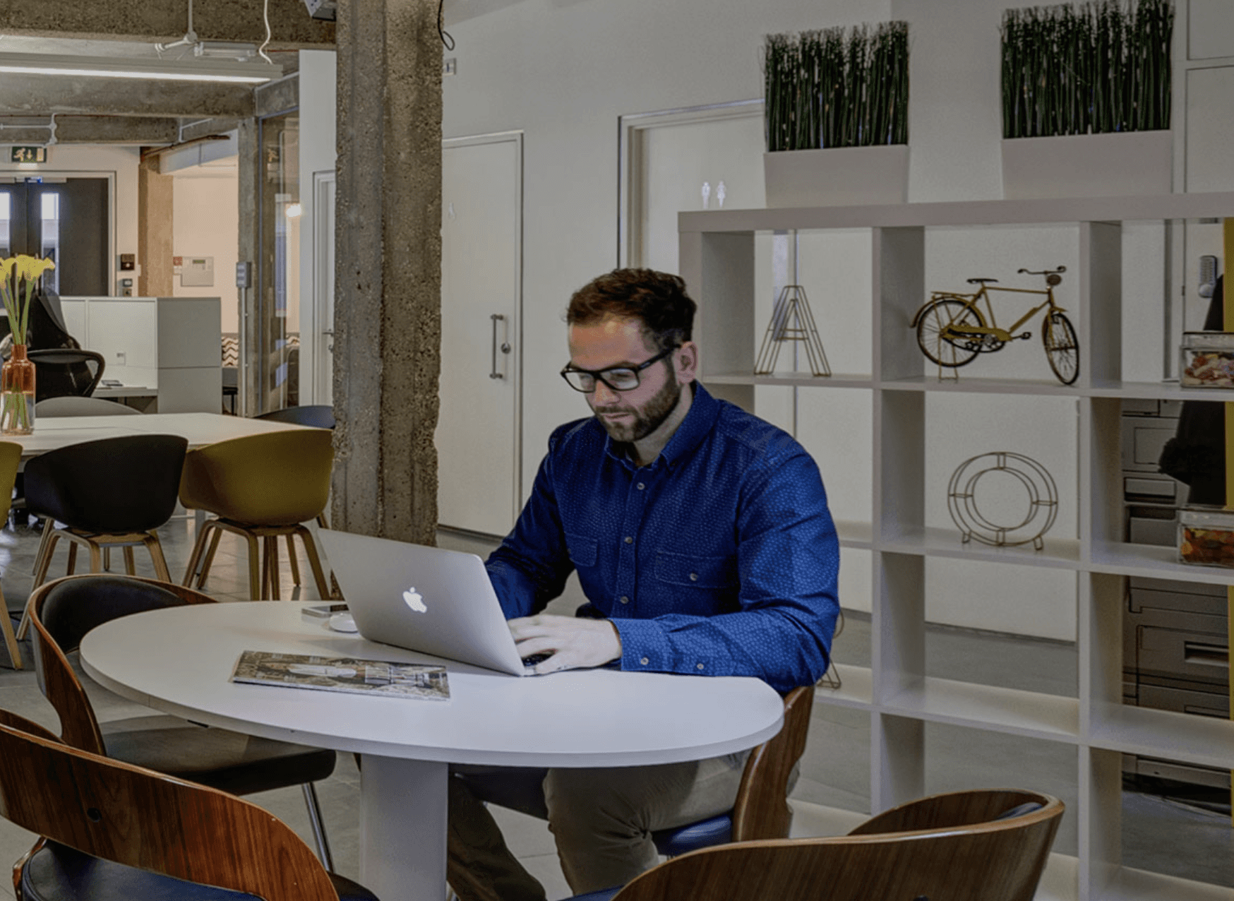 The image featured in the middle of the about us page