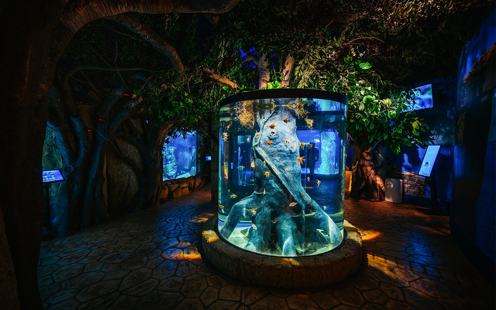 Tree-shaped aquarium centerpiece at Malta National Aquarium.