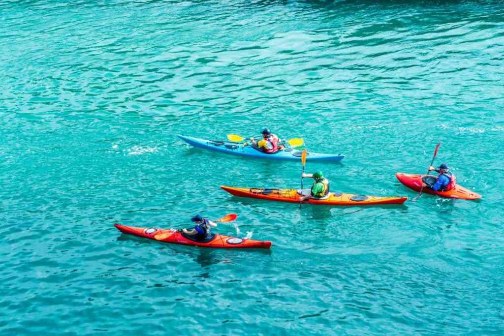 4 sea kayakers