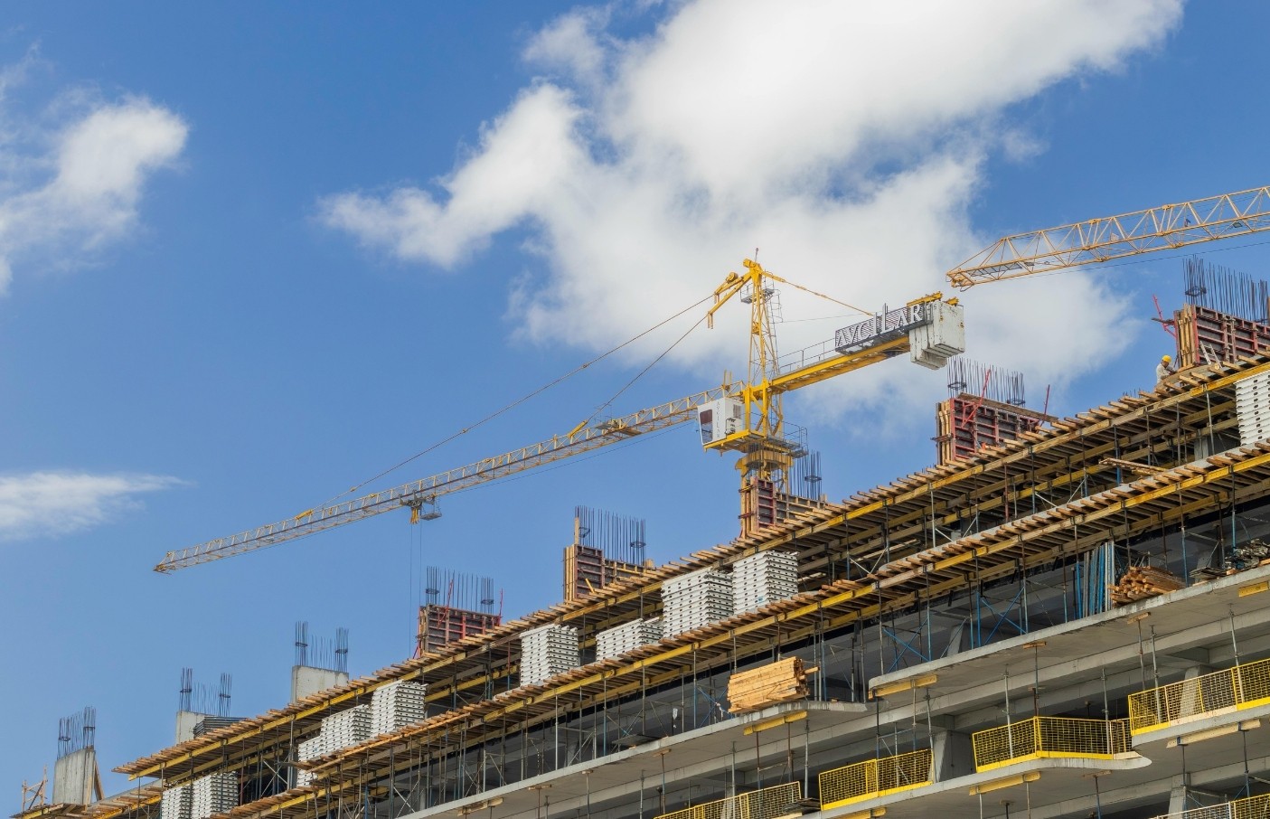 focus photo of cranes