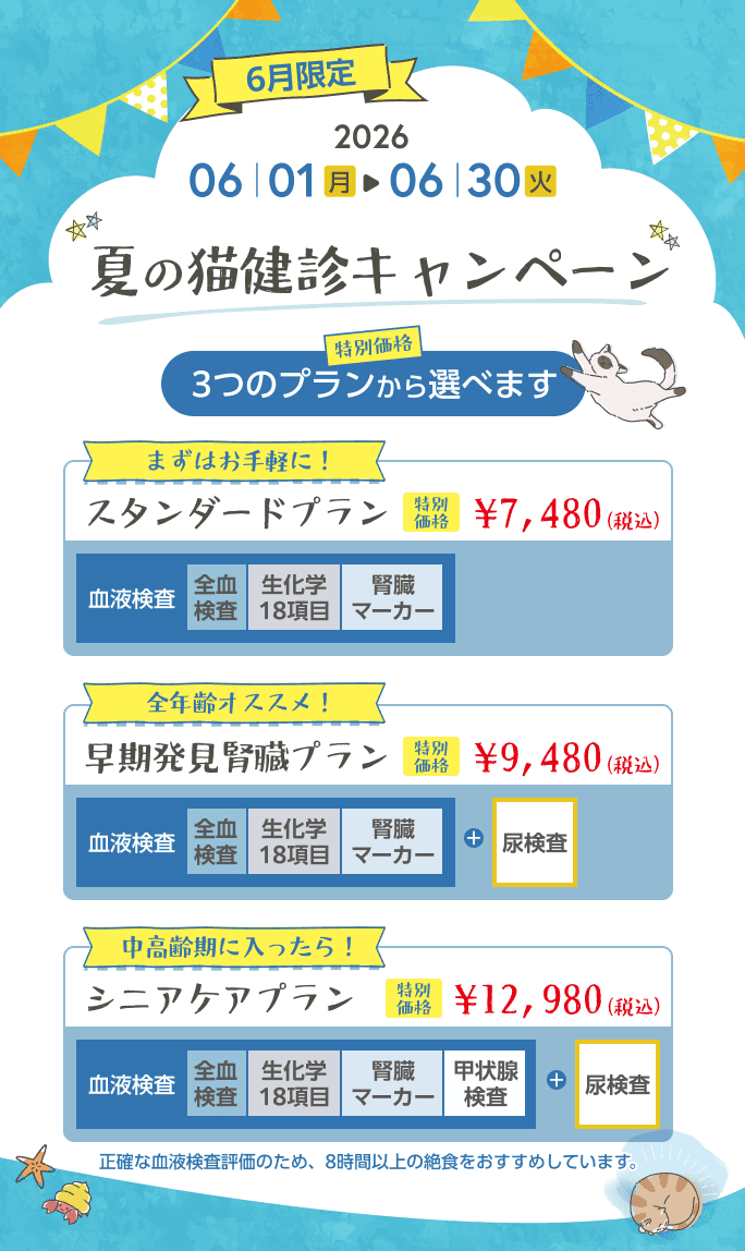 夏の猫健康診断キャンペーン（スタンダードプラン7,480円、早期発見腎臓プラン9,480円、シニアケアプラン12,980円）