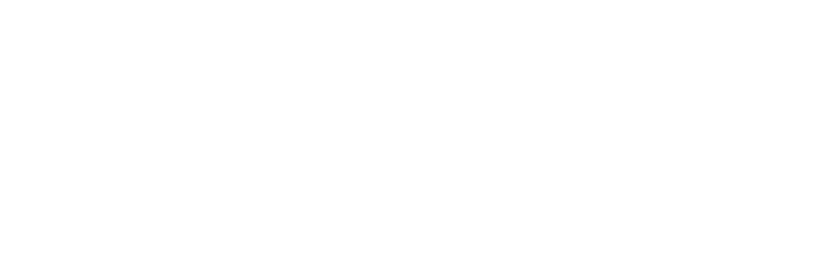 North American Company for Life and Health Insurance logo