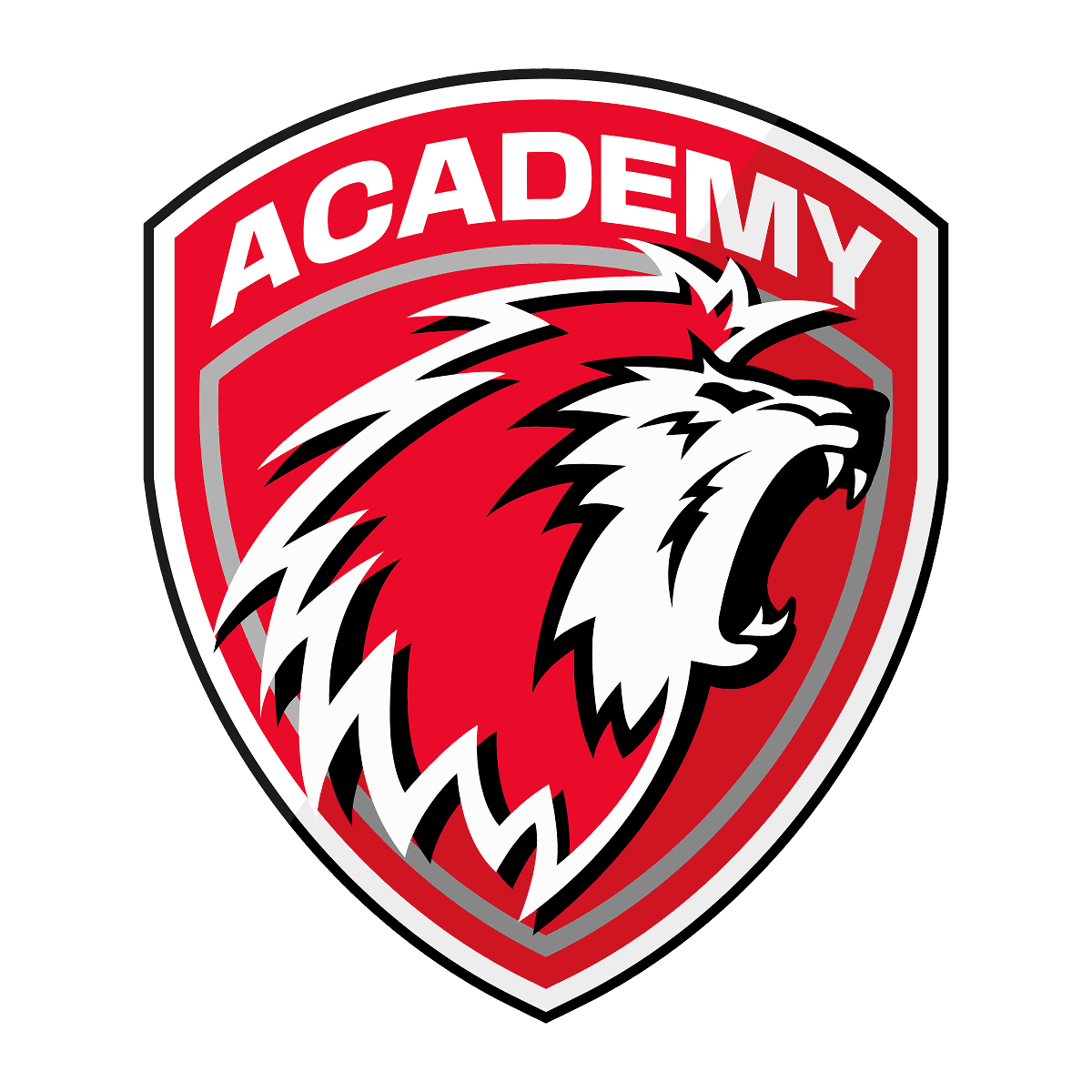 Lausanne Academy 