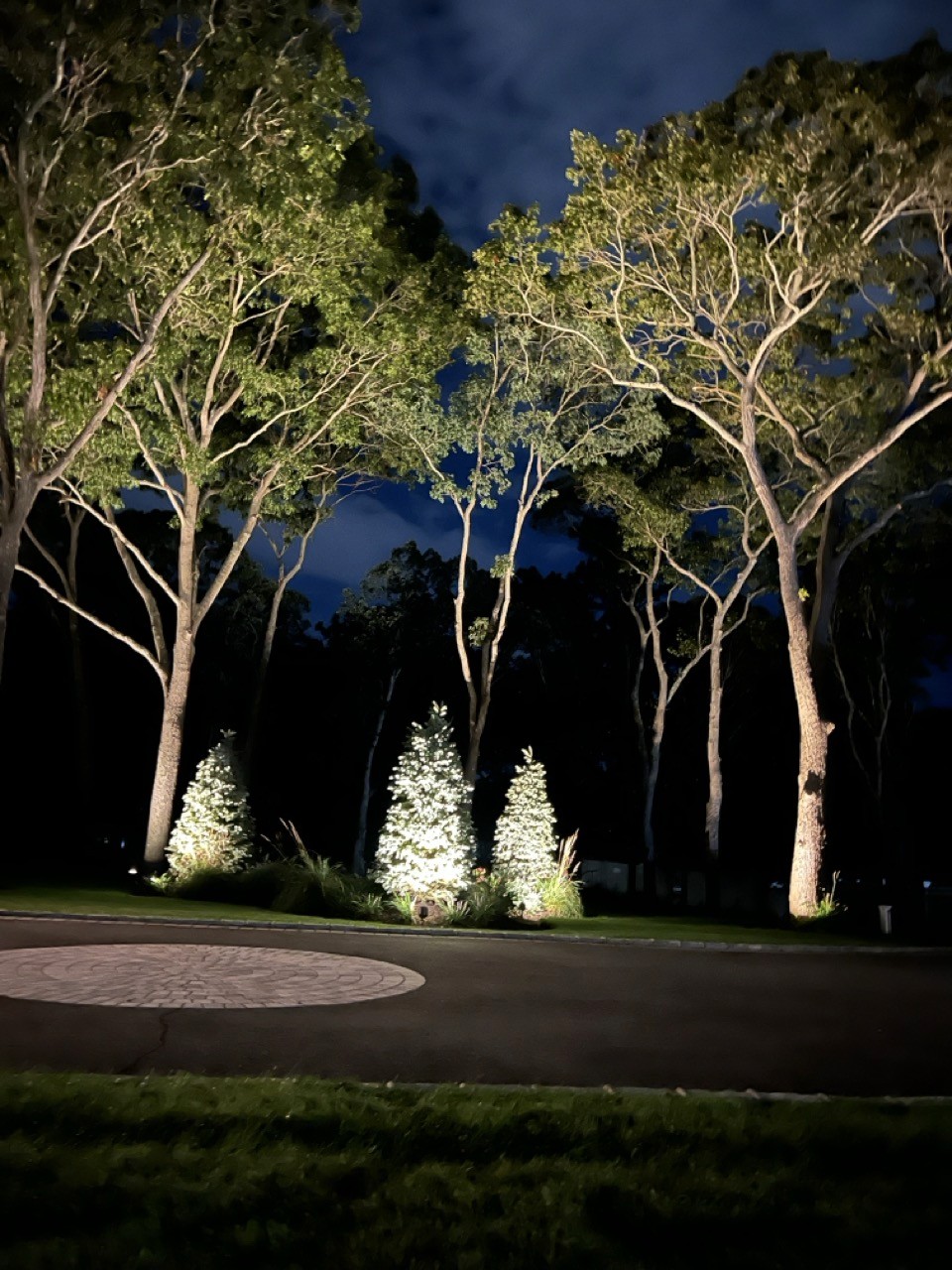 Uplit flowering trees with pathway lighting at night by Bonilla Irrigation & Contracting, Long Island NY
