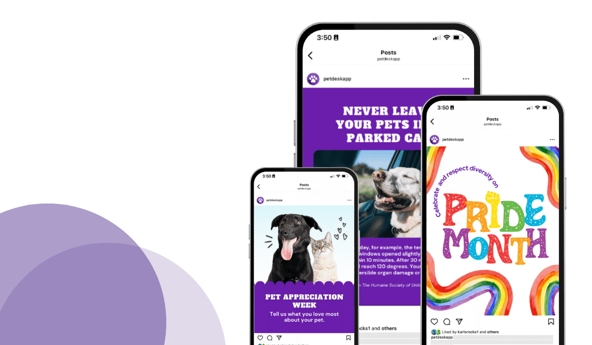 13 Awesome Veterinary Marketing Ideas for June 2024