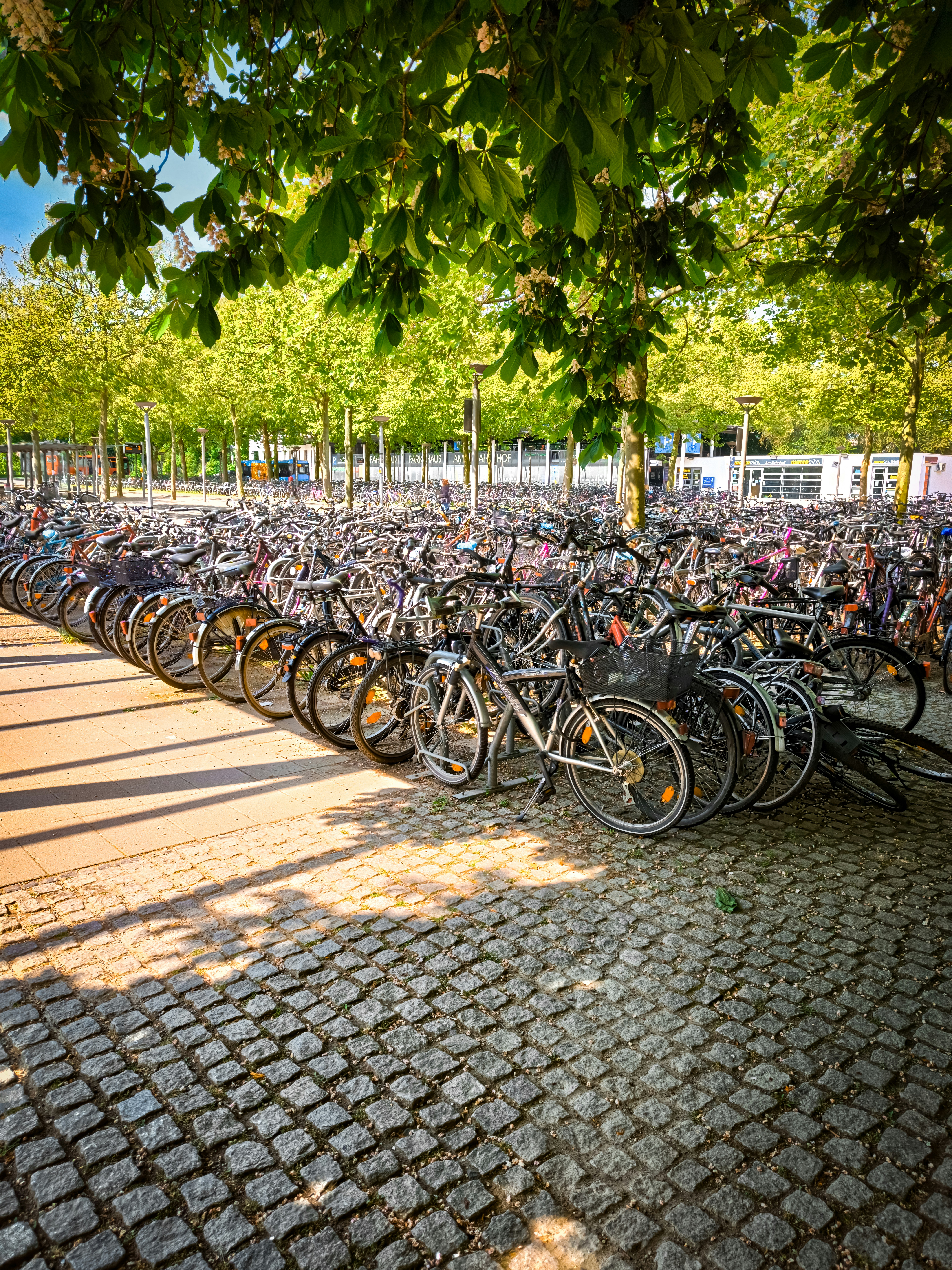 a bunch of bikes are parked in a lot