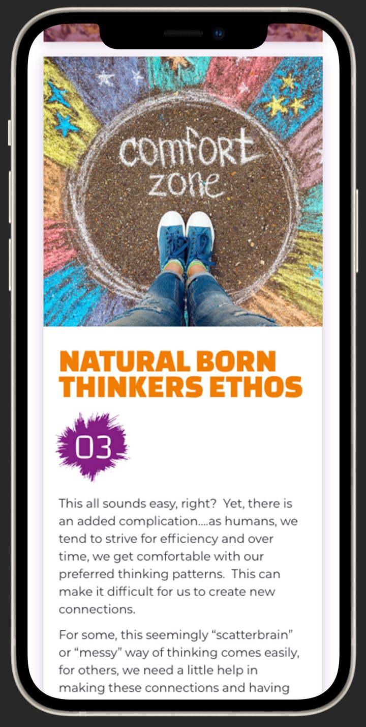 Natural Born Thinkers website design