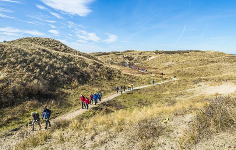 Wandelen in Egmond