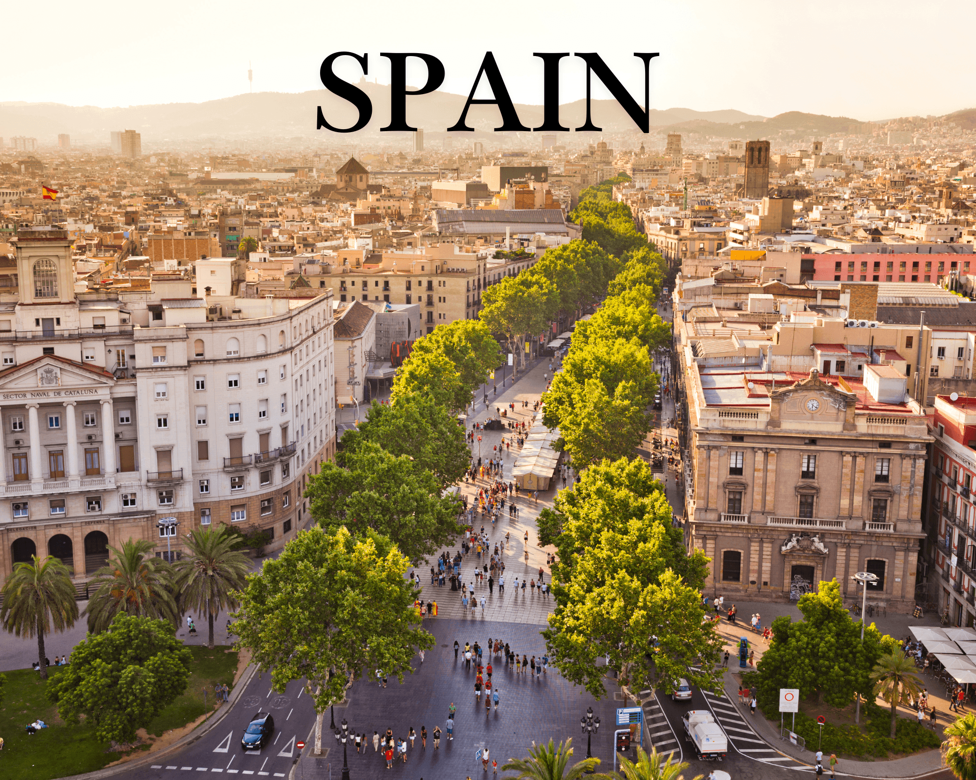 white and brown concrete building