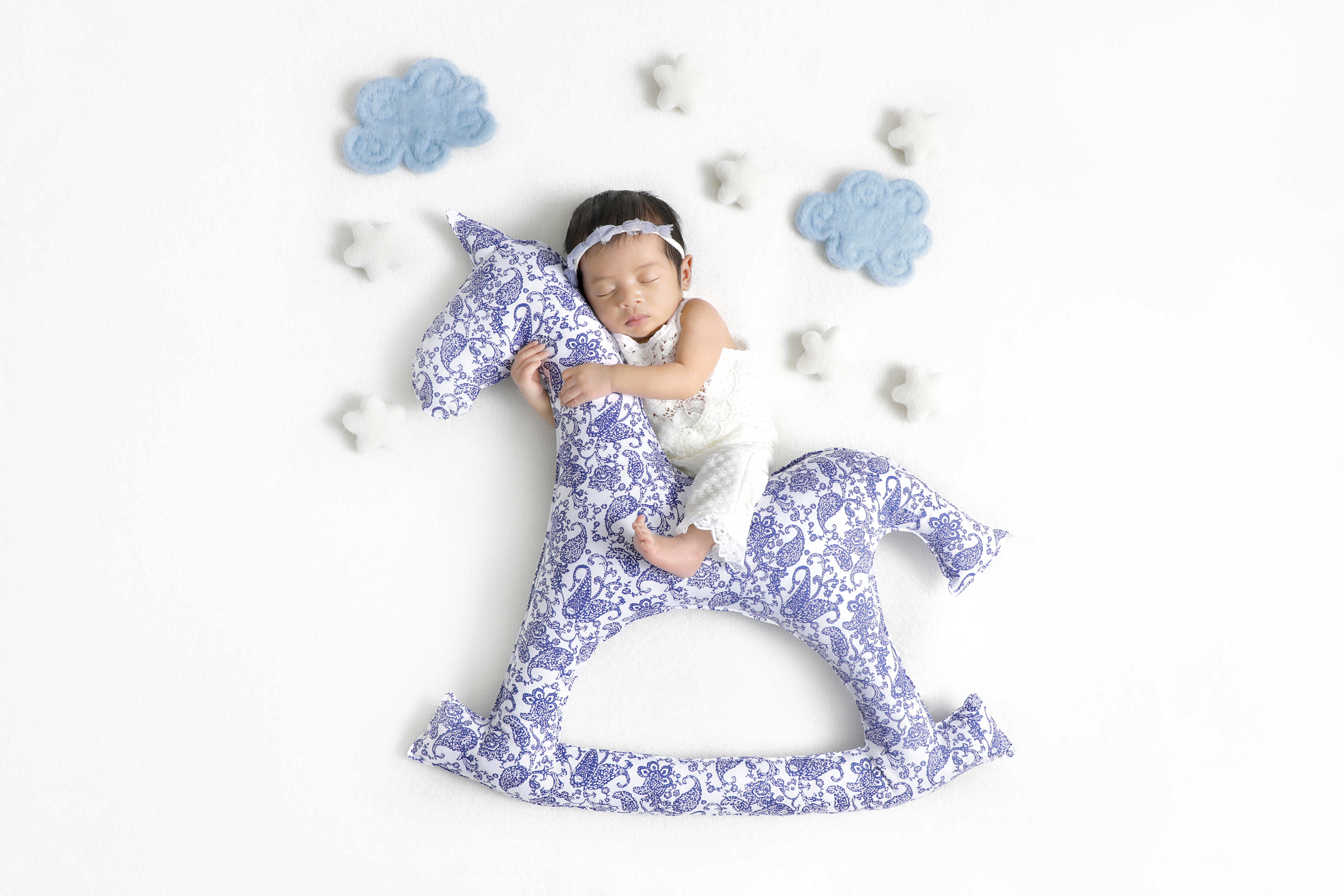 A sleeping newborn baby hugging a horse plush prop during an infant photoshoot.