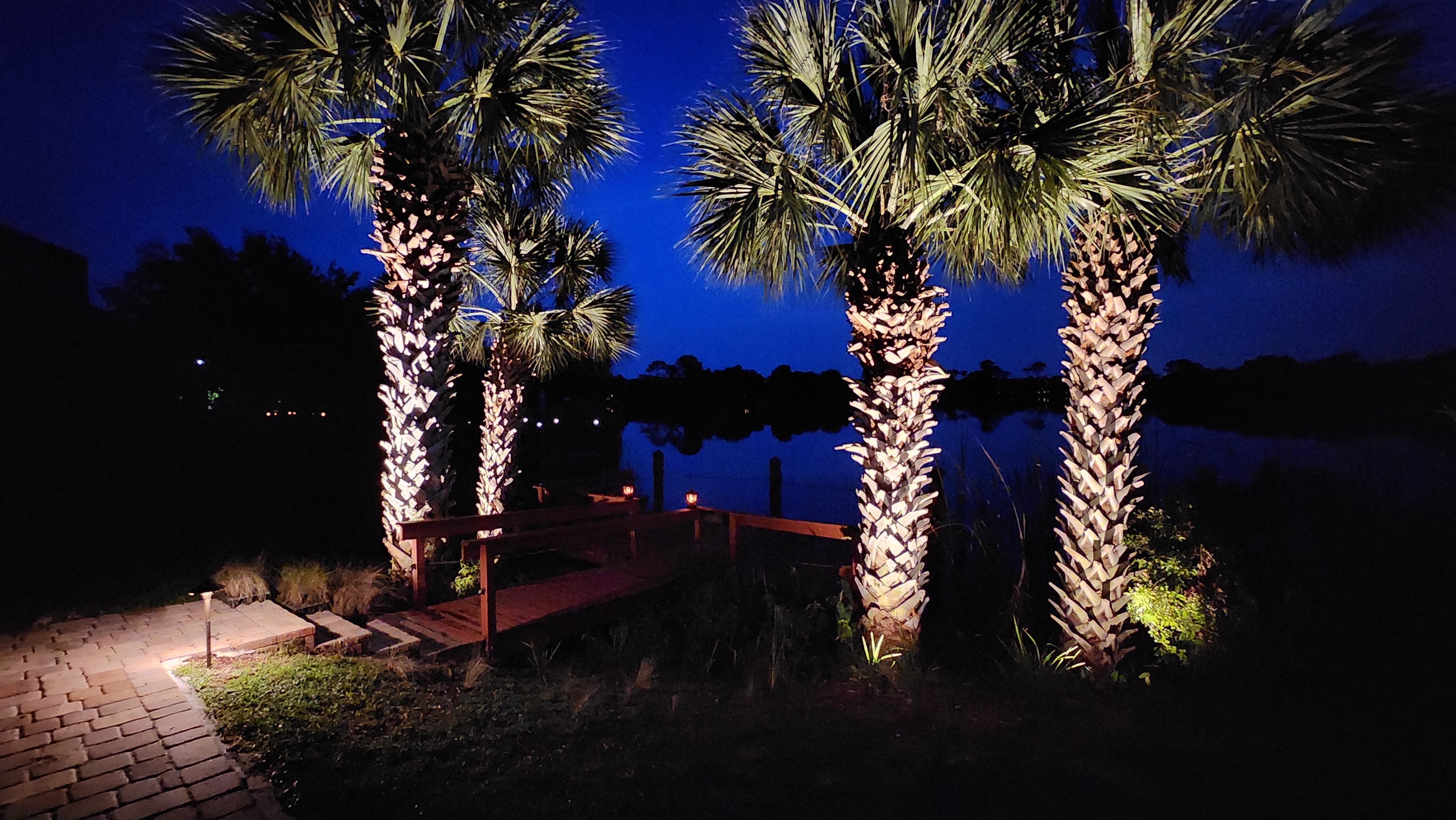Palm tree uplighting and pathway landscape lighting at night