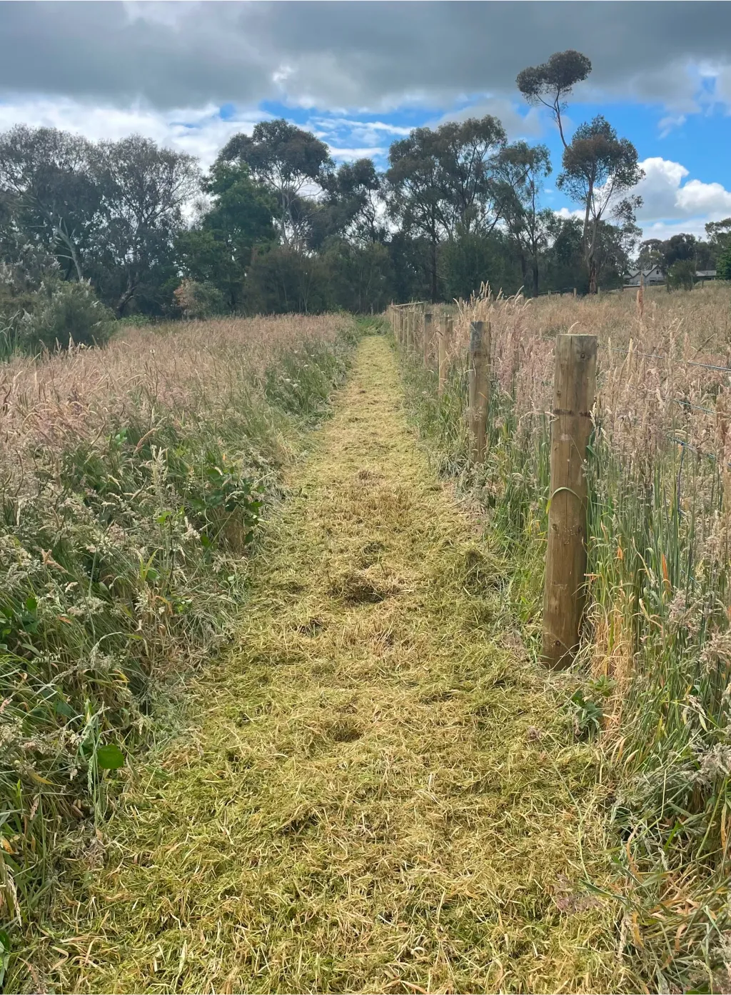 A clear fence path