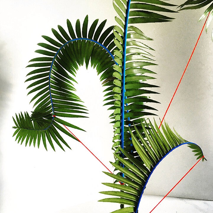 Green palm fronds against a white wall, representing the wood element