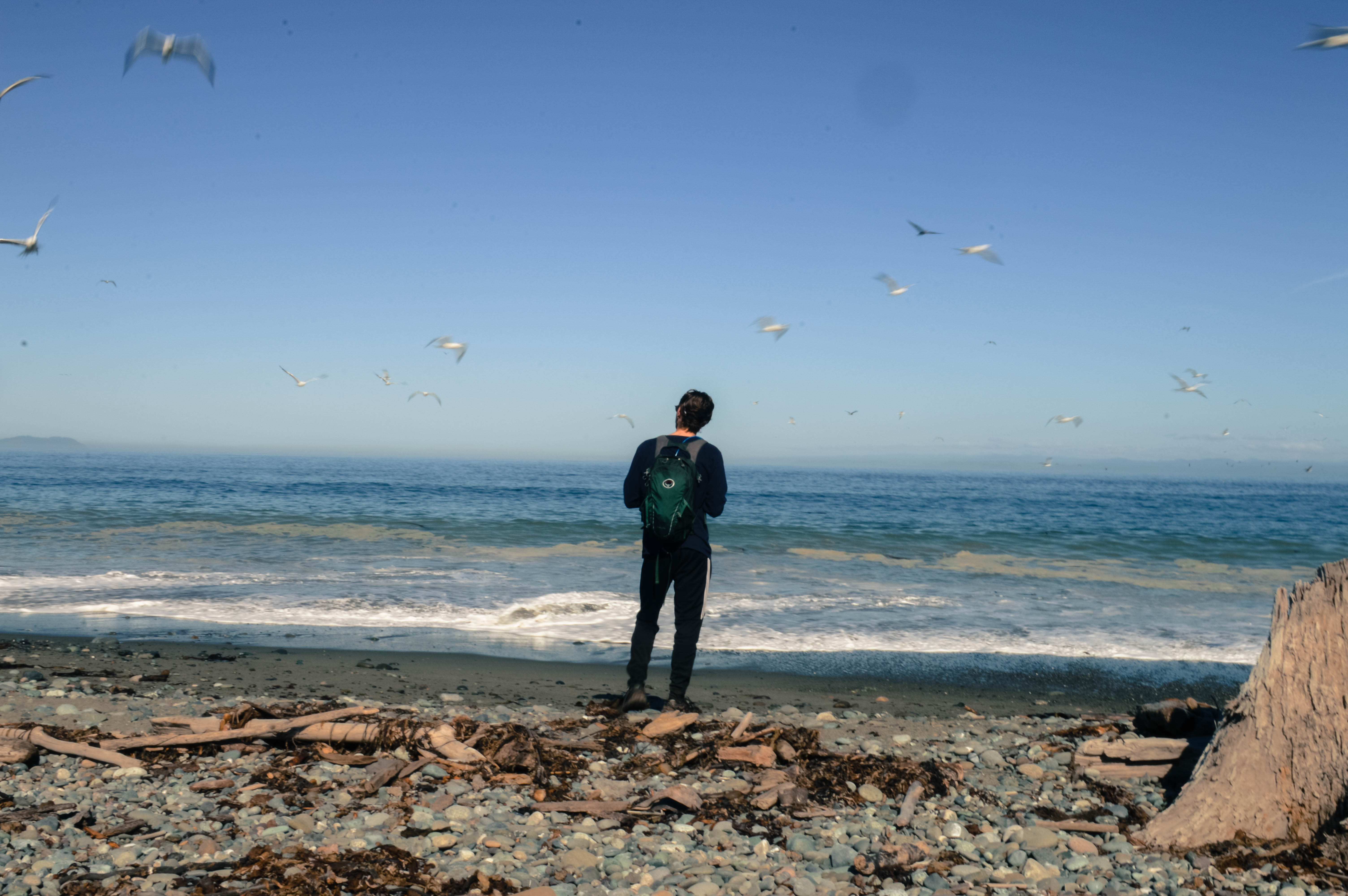 A person stands along the shoreline, looking out at the waves and mountains in a moment of still, open curiosity—symbolizing the mindful attention explored in the article.