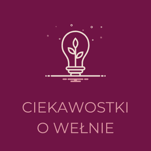 Grafika z żarówką i rośliną, symbolizująca ciekawostki o wełnie.