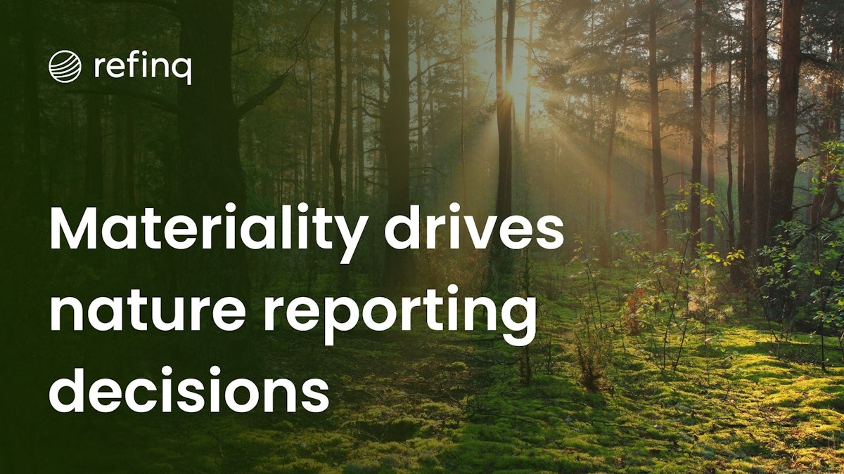 Understanding Materiality
