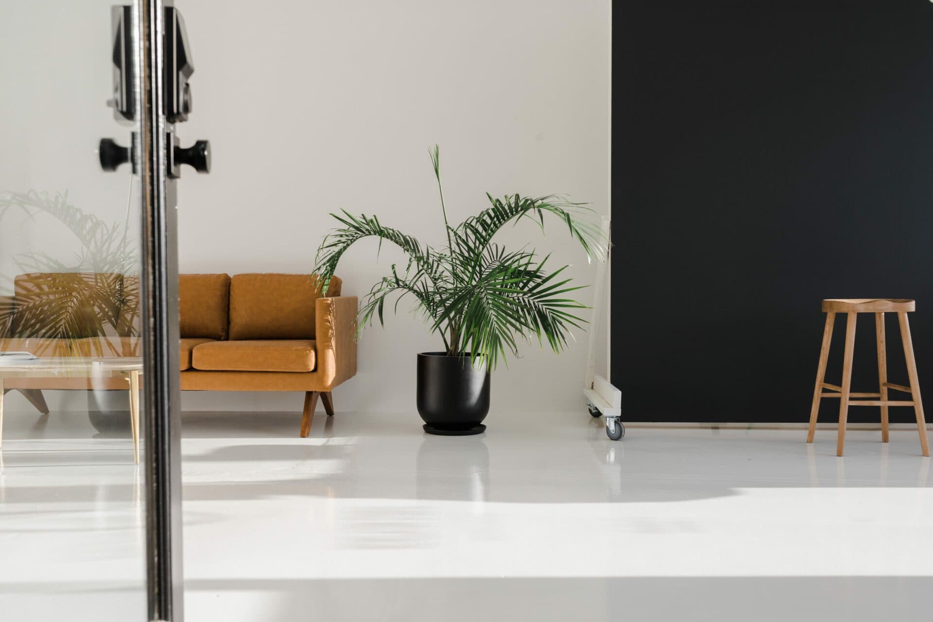 A minimalist setup at Revelator Studio in Shreveport featuring a stylish couch, potted plant, and sleek black backdrop, showcasing the studio’s versatile and natural light-filled environment for professional photography.