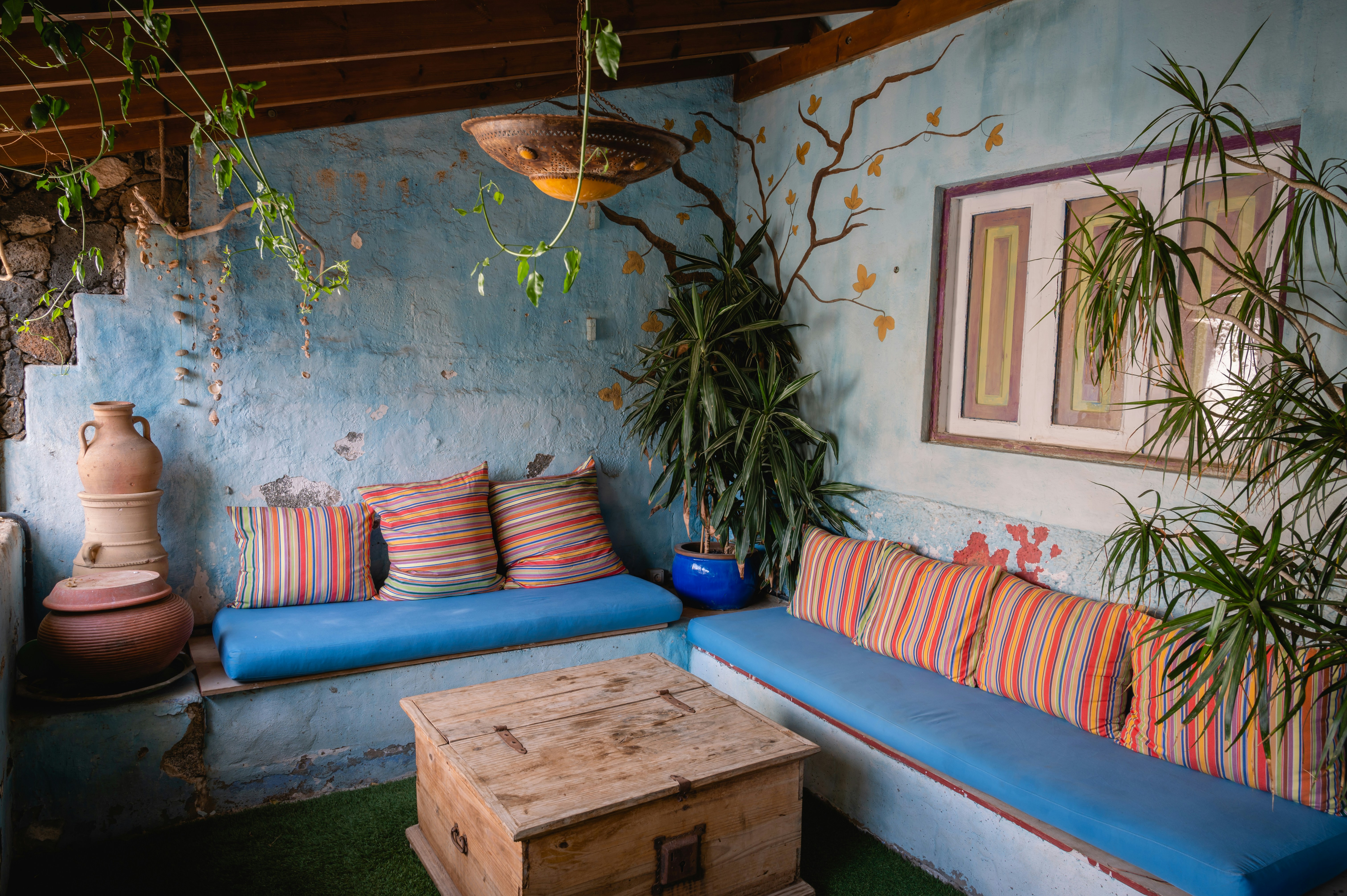 a living room with a blue couch and potted plants