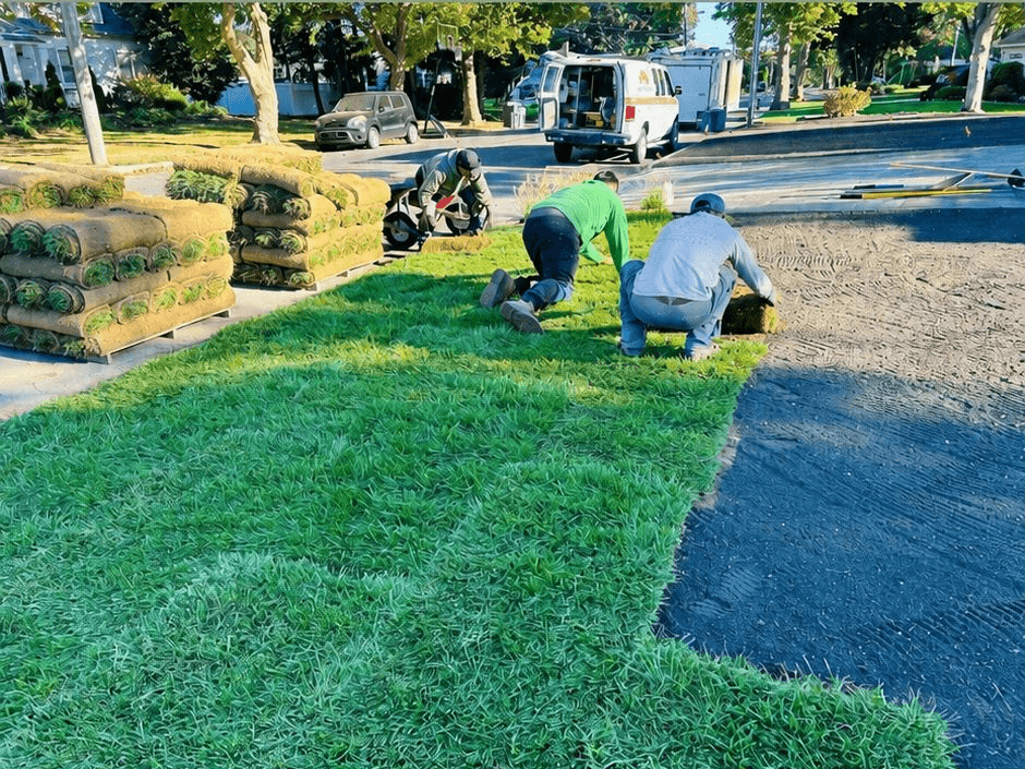 Seasonal clean-ups