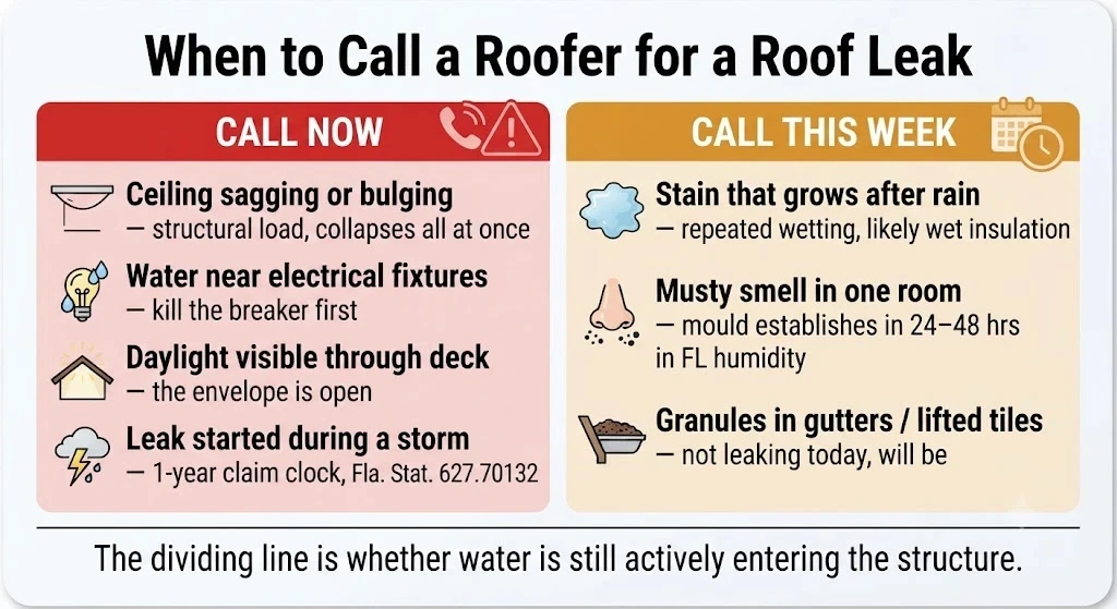 Cracked pipe boot flashing on a residential shingle roof, a common source of roof leaks in Florida