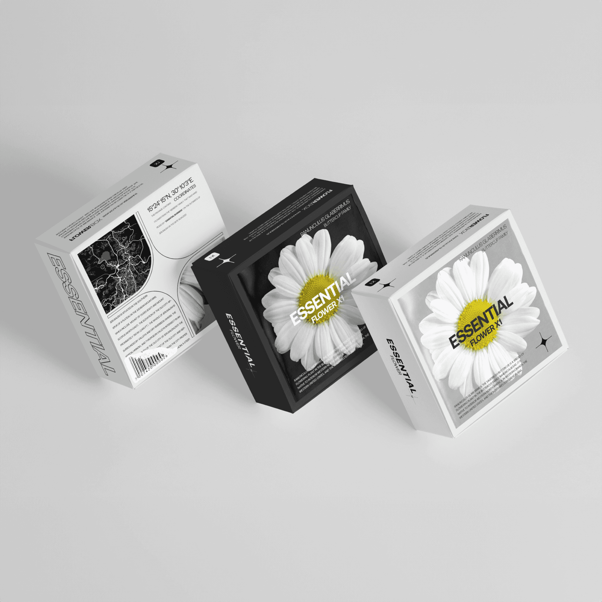 close up of flower packaging in a minimalistic monochrome color pallate