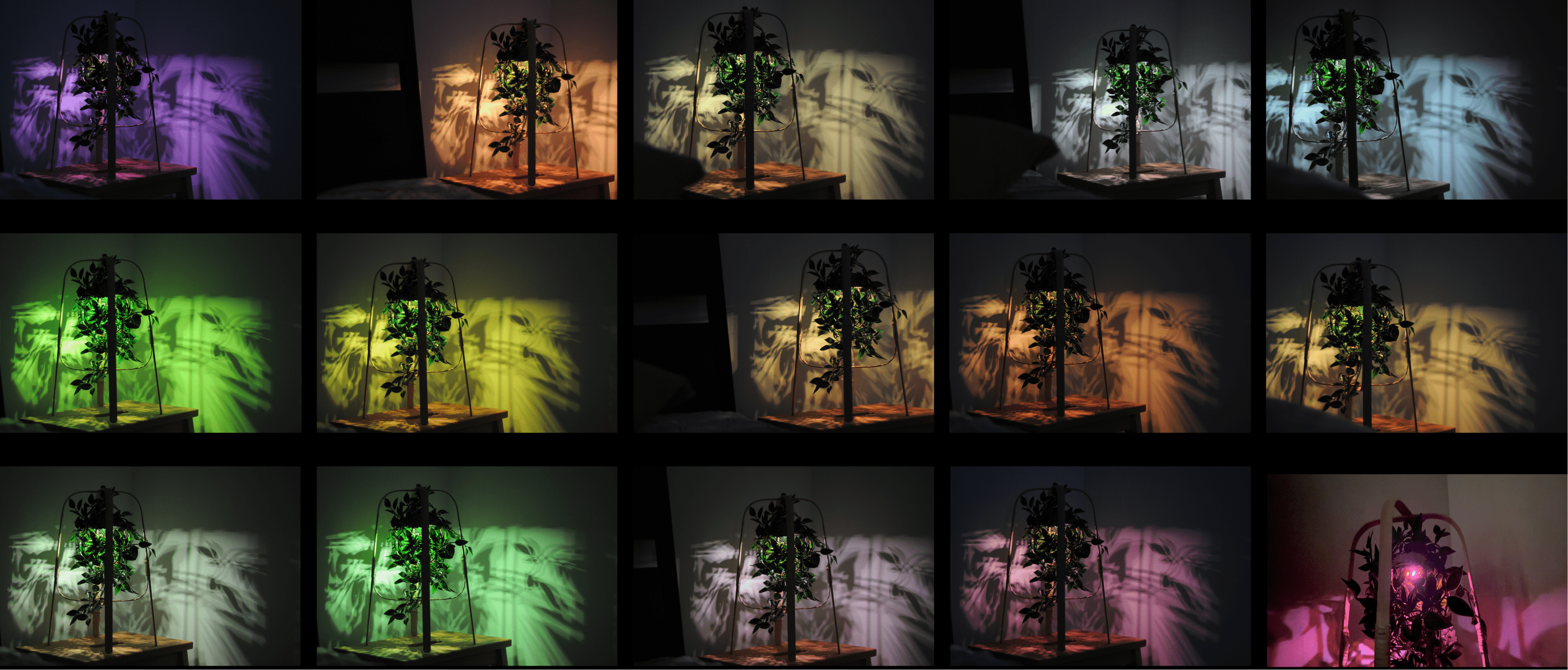 Here comes the alt text