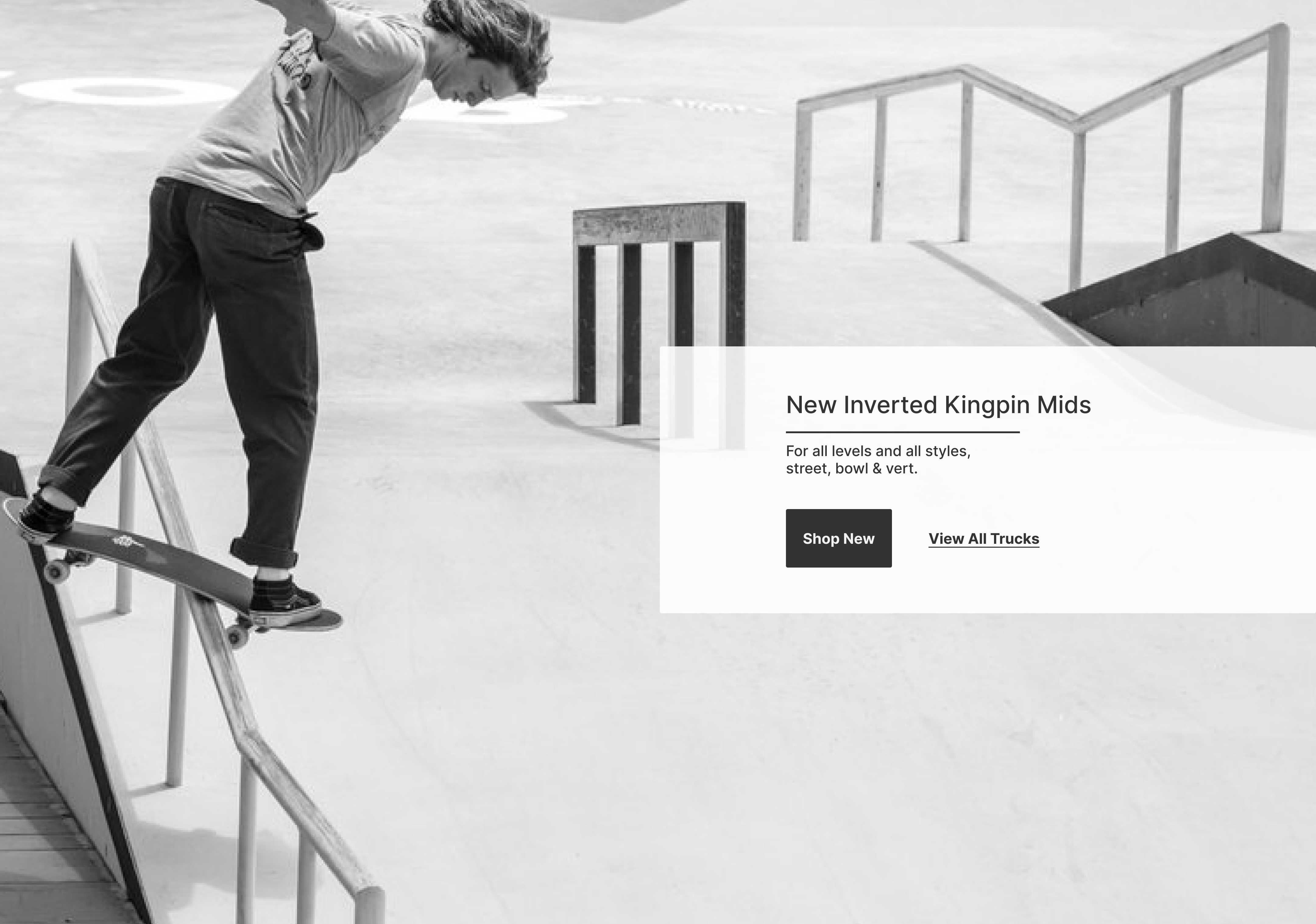 Project Gallery Image for 50% width of the screen #2