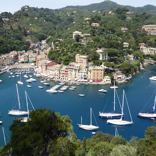 Portofino harbour