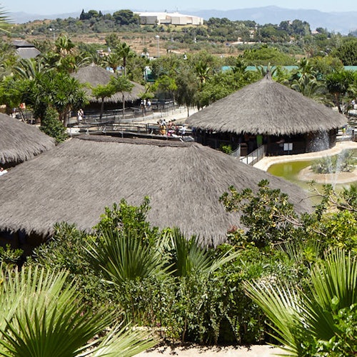 Halmtakshyddor omgivna av frodig växtlighet och palmer, med en bakgrund av avlägsna kullar och en klar himmel.