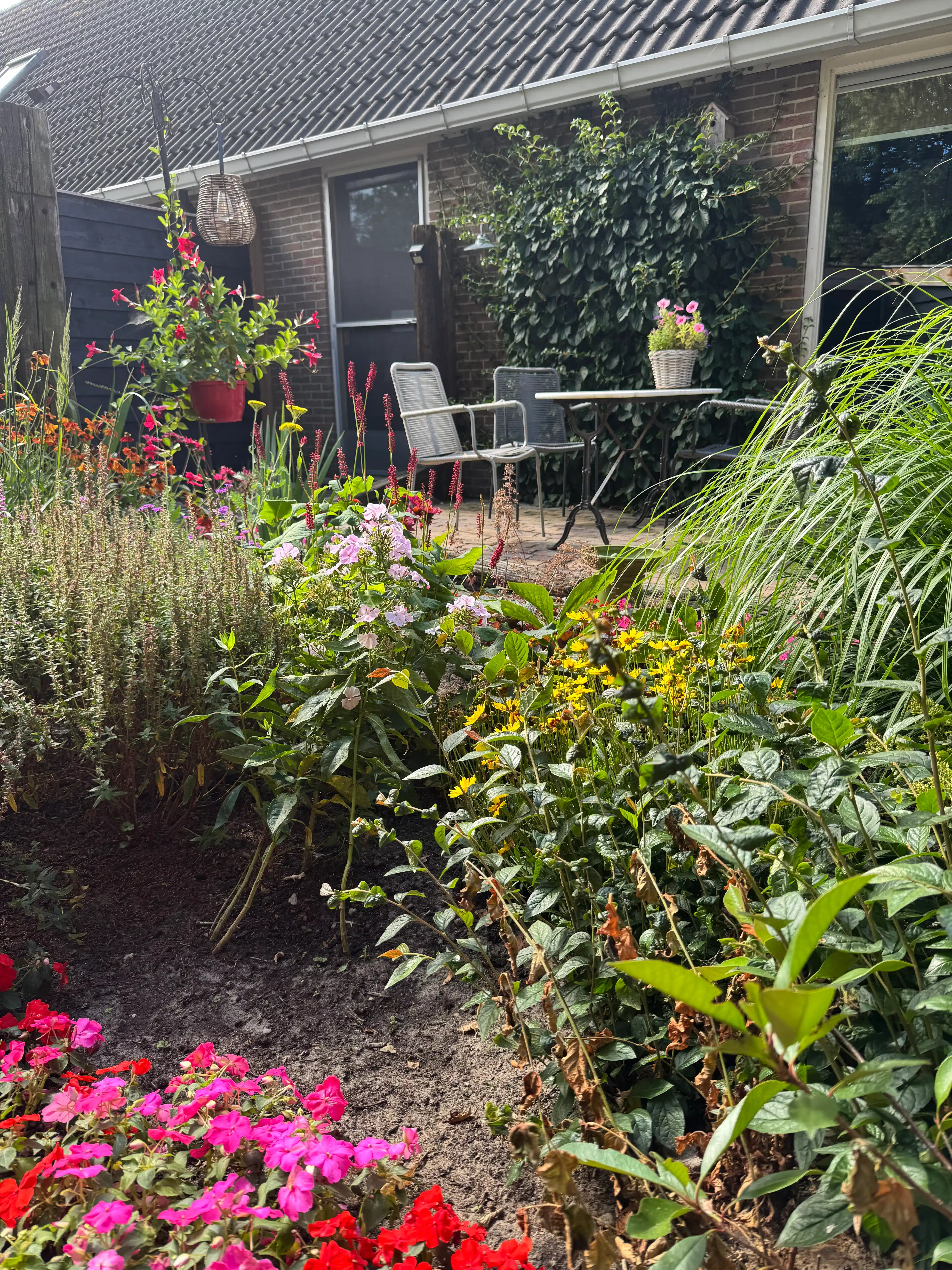 Kleurrijke bloementuin met terras bij vakantiewoning in Dwingeloo.