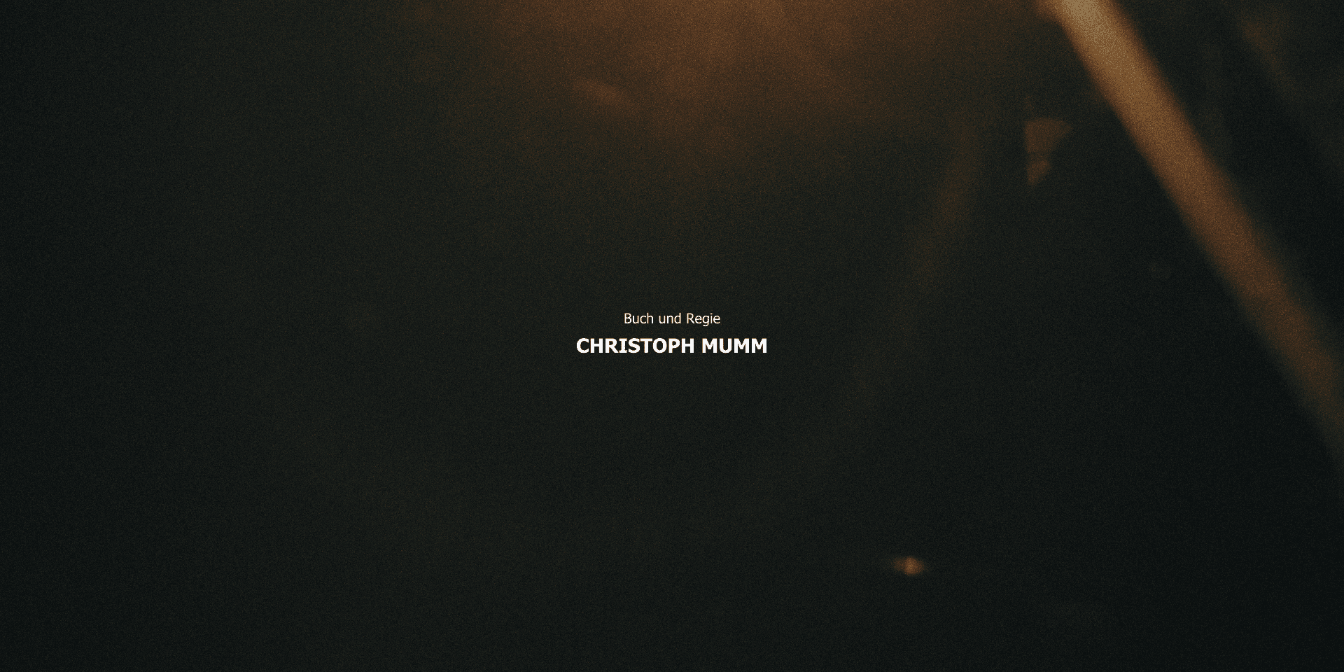 a gun lying in grass