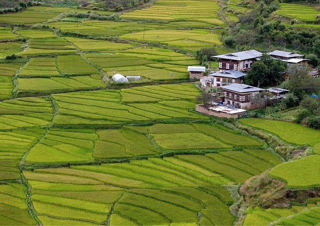 Chimi Lhakhang