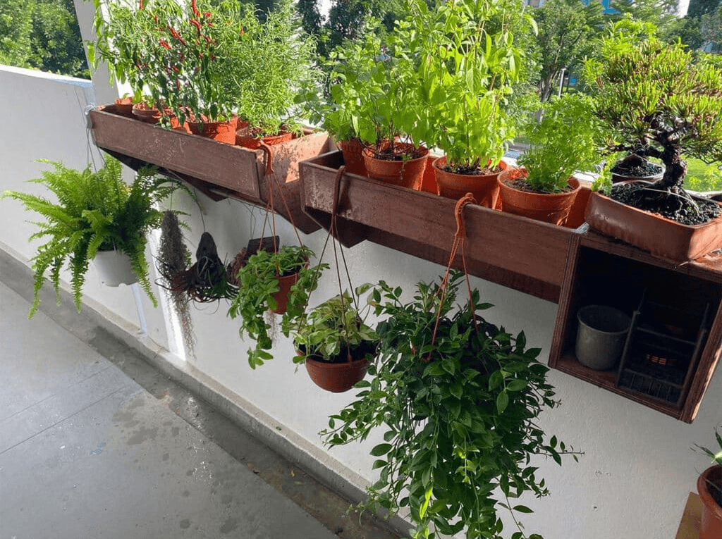 Indoor potted plants arranged along a corridor