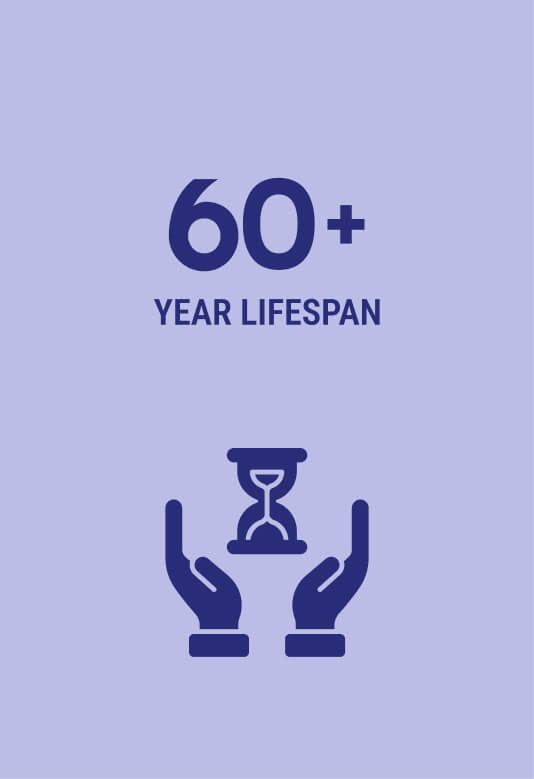 60+ year lifetime icon