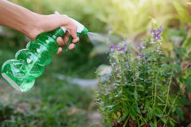 Stone retaining walls and landscaped gardens in Fraser Valley, Abbotsford BC, with mountain views.